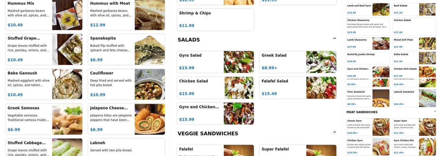 Gyro Star Menu