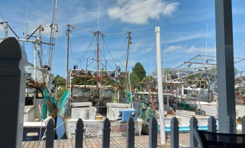 Lei-Lo Tiki Hut- Brooksville