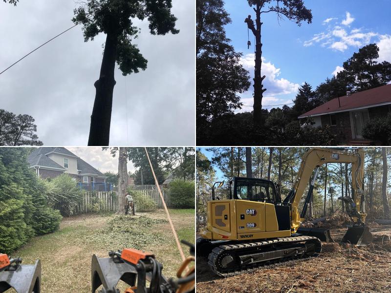 Tree Life Tree Care LLC