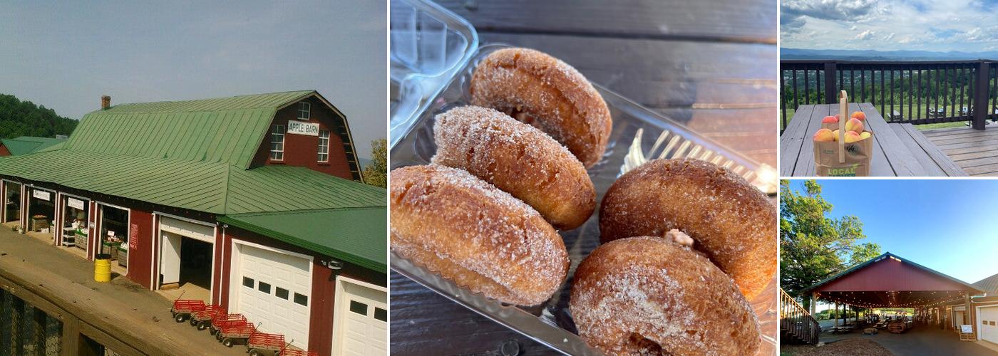 Carter Mountain Orchard and Country Store