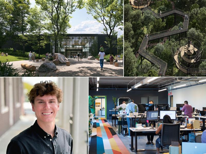 Liollio Architecture