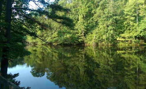 Johnston Woods McDonald