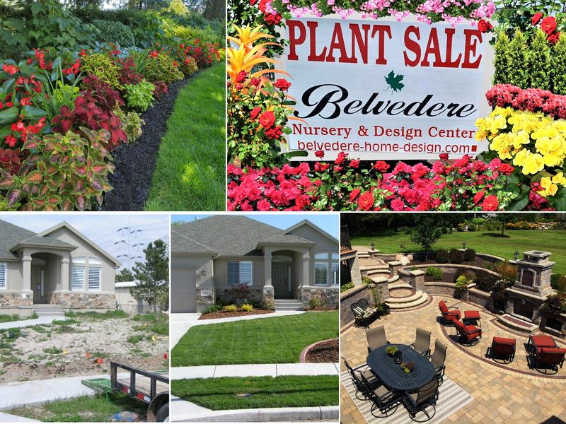 Belvedere Nursery & Landscape Design