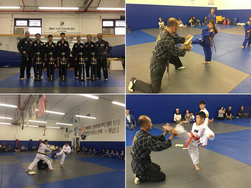 MBS Taekwondo Academy