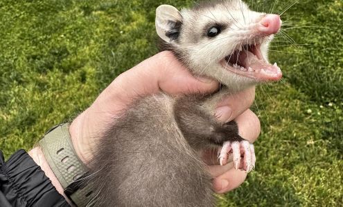 Due West Police Department Due West