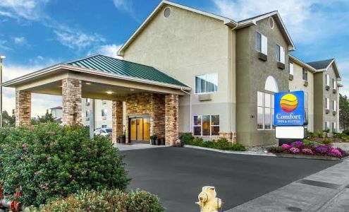Comfort Inn & Suites Redwood Country