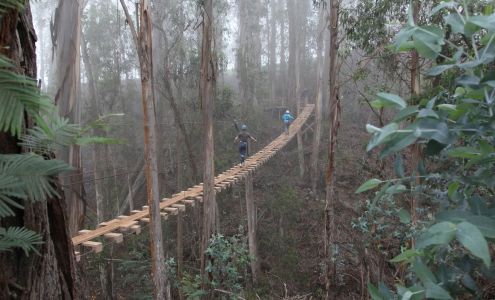 Skyline Hawaii - Haleakala Kula