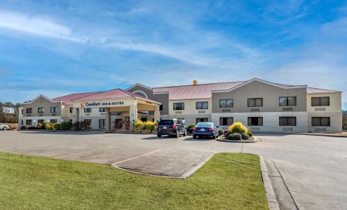 Comfort Inn & Suites Leeds I-20