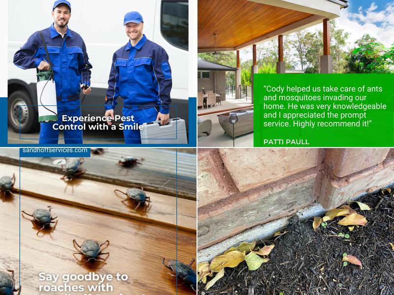 Sandhoff Services Pest and Termite