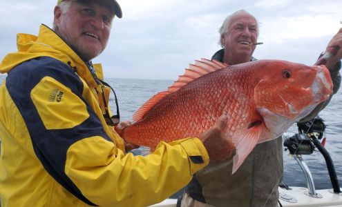 Pensacola Beach Marina Pensacola Beach