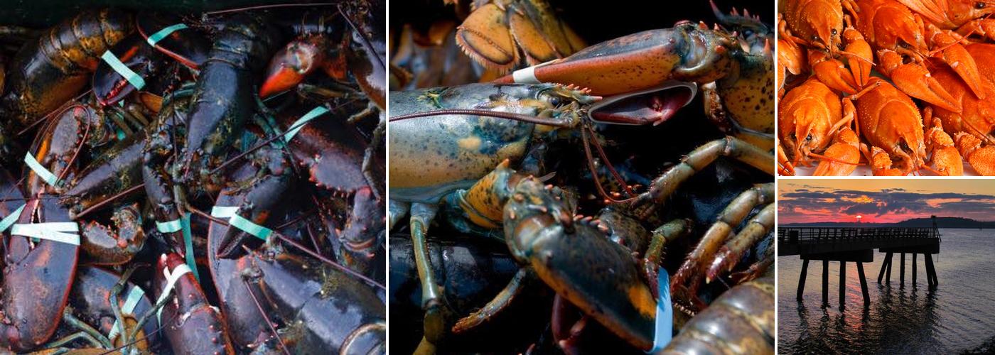 American Lobster Products INC