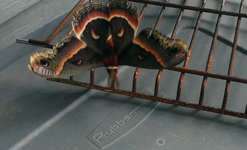 First Choice Flooring Installations