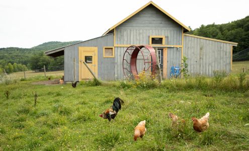 Dacy Meadow Farm Westport