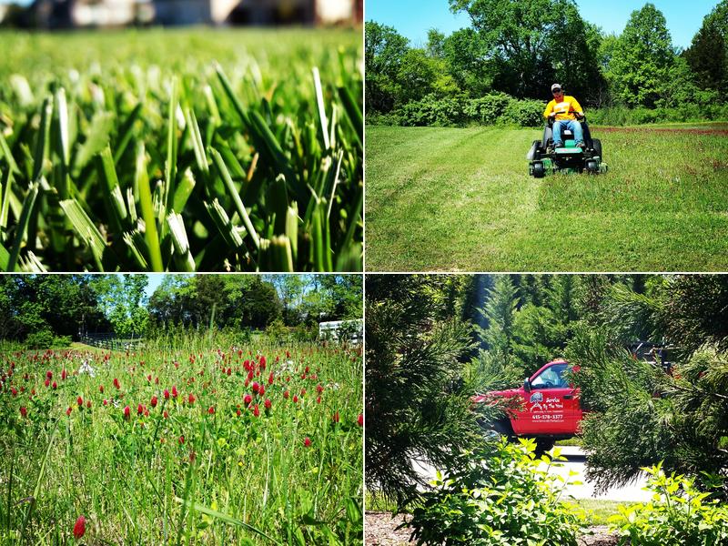 Service By The Yard Landscaping & Home Maintenance