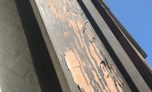 Fry Classic Construction