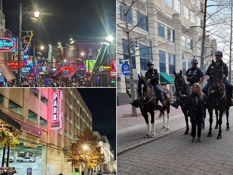 Belz Architecture & Construction