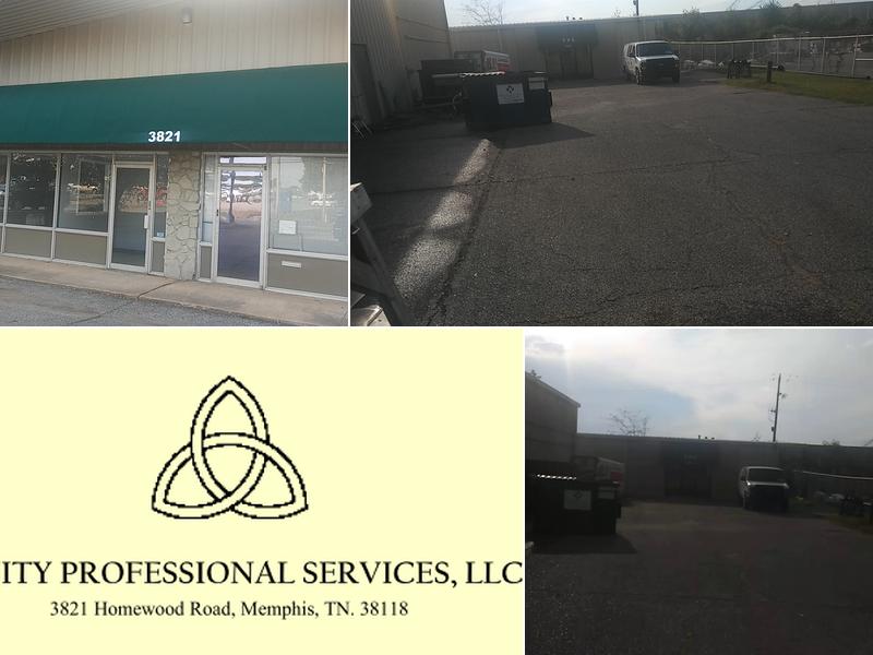 trinity professional services