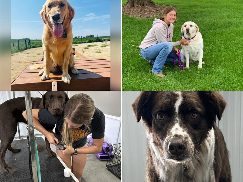 Forest Mills Board and Groom LLC