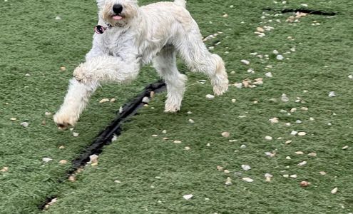 Say Heating & Cooling