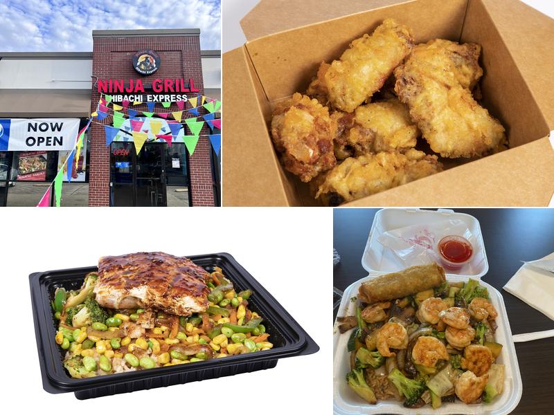 Ninja Grill Hibachi Express