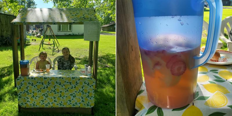 Skylar and Sophia's Lemonade Stand 5985 Fishermans Ln, Mayville