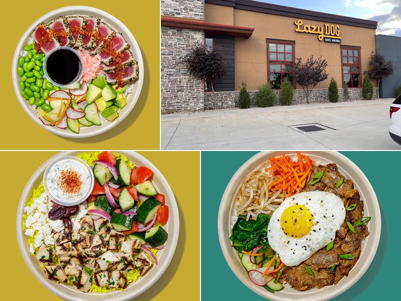 Roadtrip Bowls Made by Lazy Dog