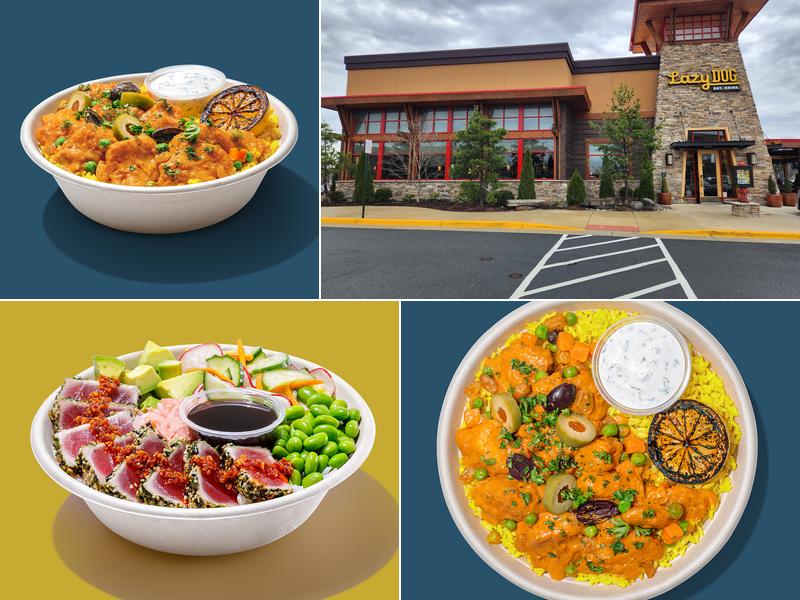 Roadtrip Bowls Made by Lazy Dog