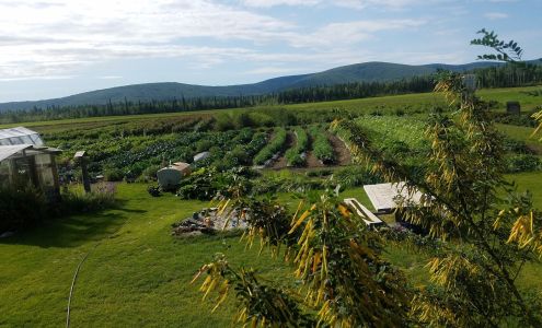 The Big M Farm Nenana
