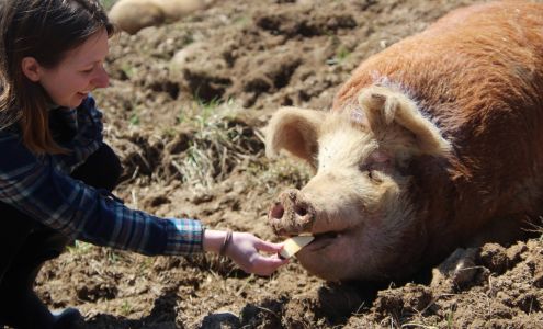 Uplands PEAK Sanctuary Freedom