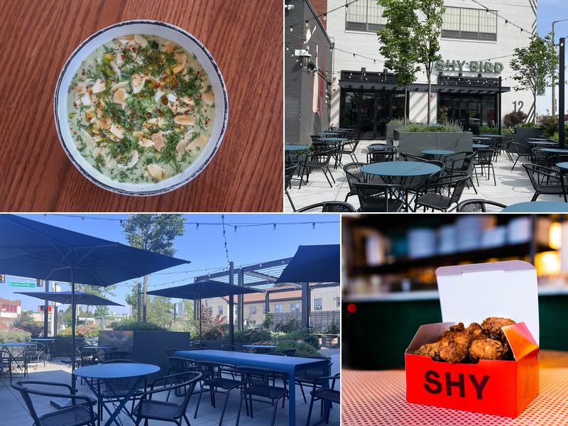 Shy Bird - South Boston