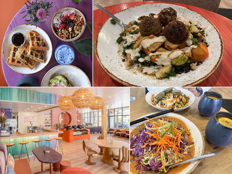 Life Alive Organic Cafe Davis Square