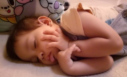 All Appliance Service 653 Conception Bay Hwy, Conception Bay South Newfoundland and Labrador A1X 3C5