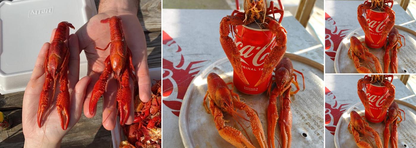 D’s Crawfish