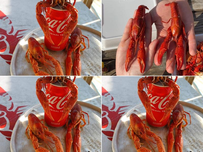 D’s Crawfish