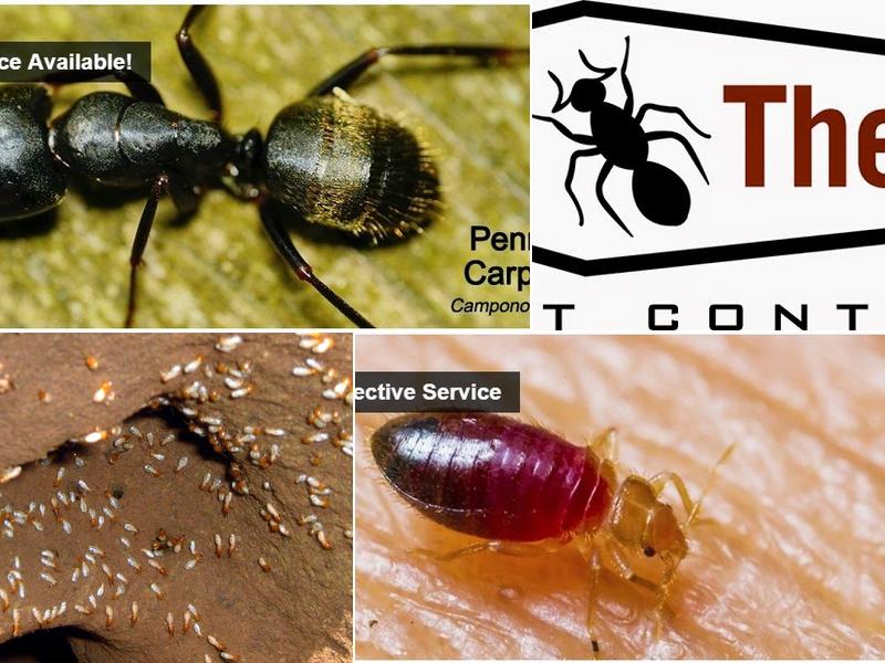 Be There Pest Control