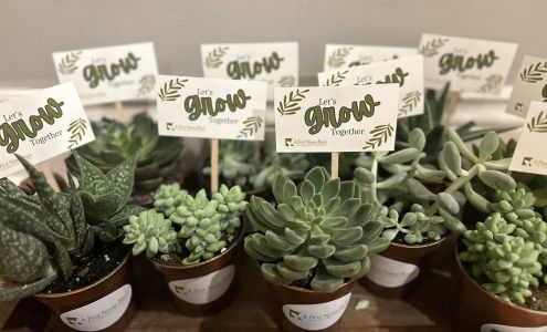 A First Name Basis Home Care - Gulfport