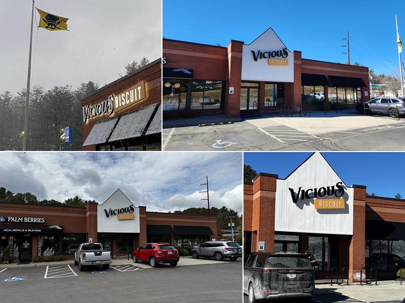 Vicious Biscuit Boone