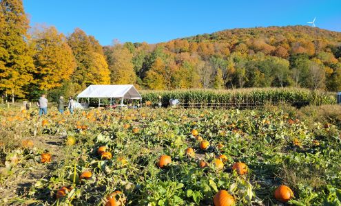 Ioka Valley Farm Hancock