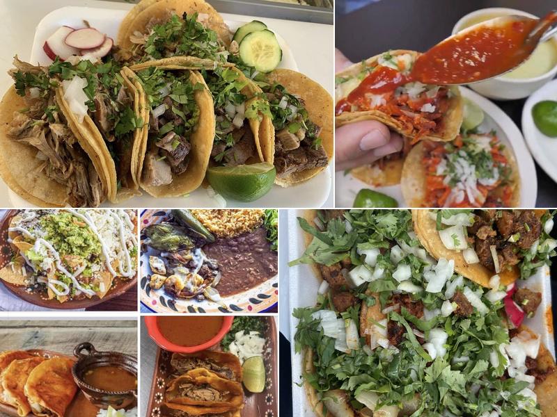 Daily Taco 5450 Palm Beach Blvd, Fort Myers