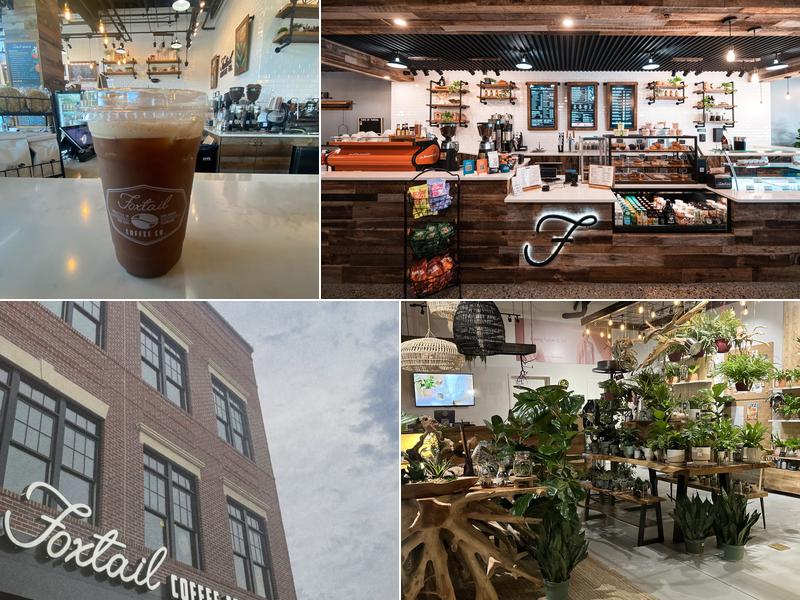 Foxtail Coffee - Downtown Winter Garden