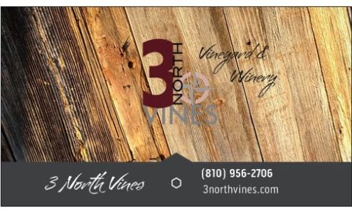 3 North Vines Croswell