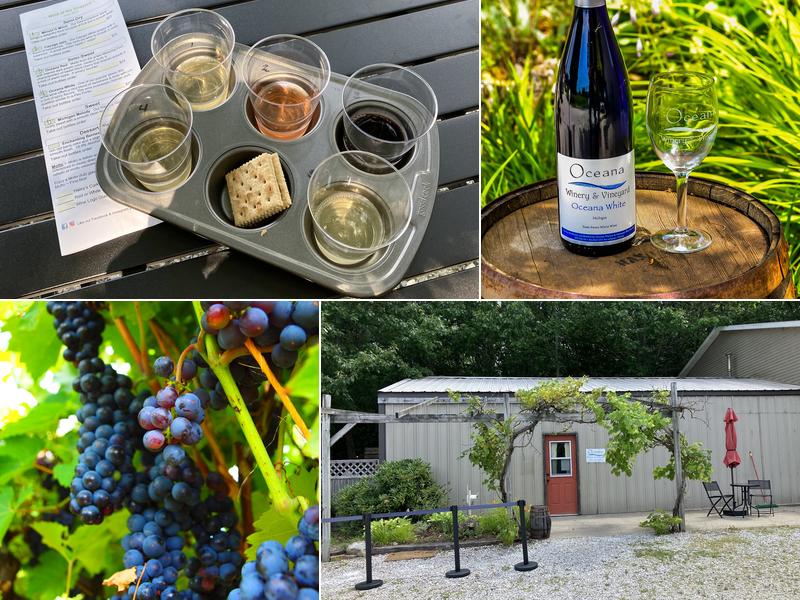 Oceana Winery & Vineyard