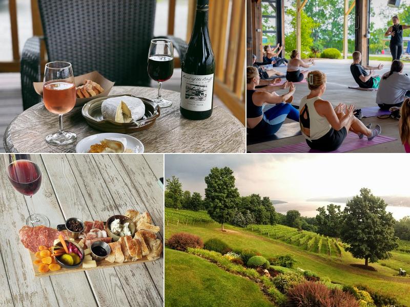 Point of the Bluff Vineyards