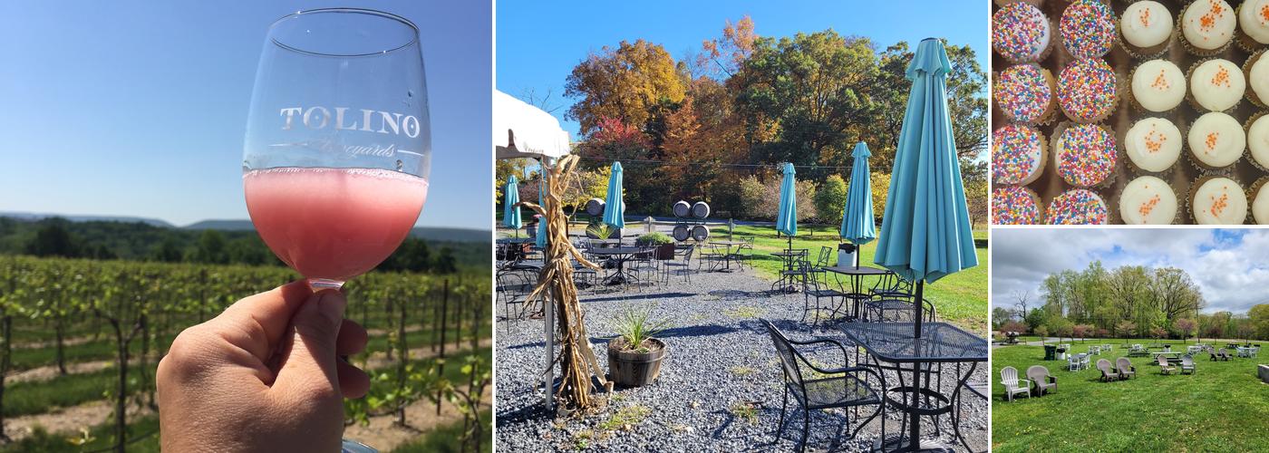 Tolino Vineyards and Winery