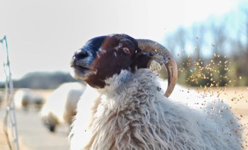 Hermitage Golf Course