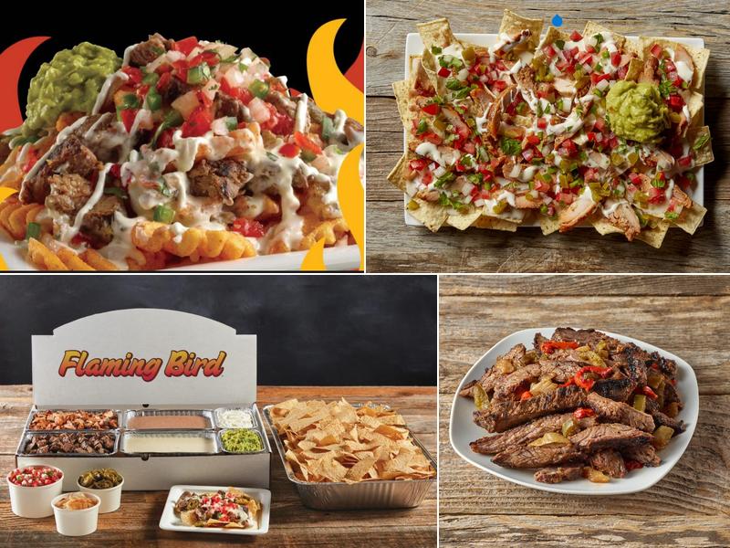 Flaming Bird By H-E-B