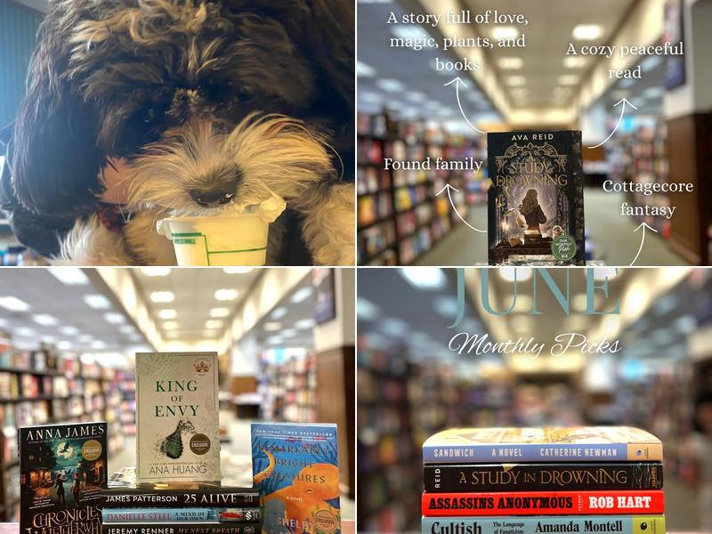 Barnes and Noble Cafe