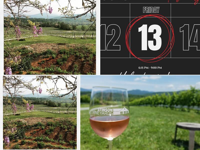 Stinson Vineyards 4744 Sugar Hollow Rd, Crozet