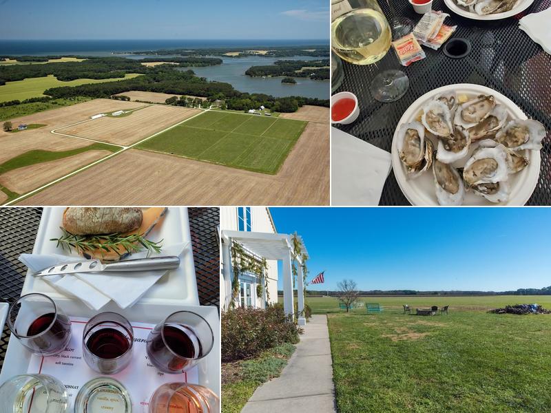 Chatham Vineyards & Winery