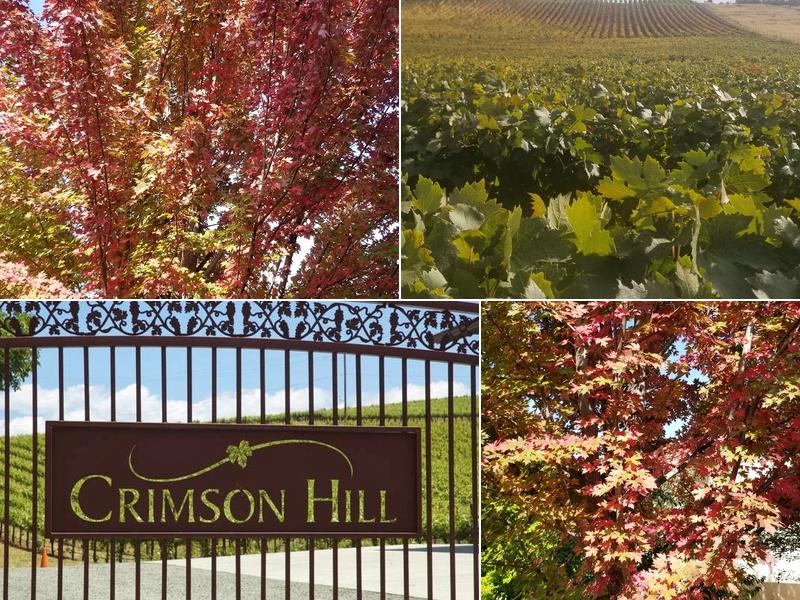 Gregory Graham Winery